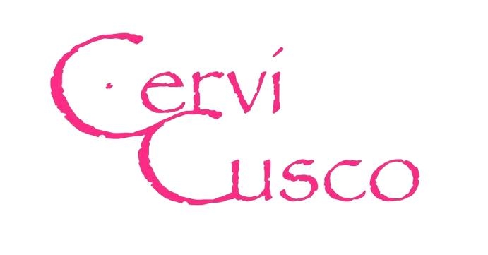 Logo de CERVI CUSCO